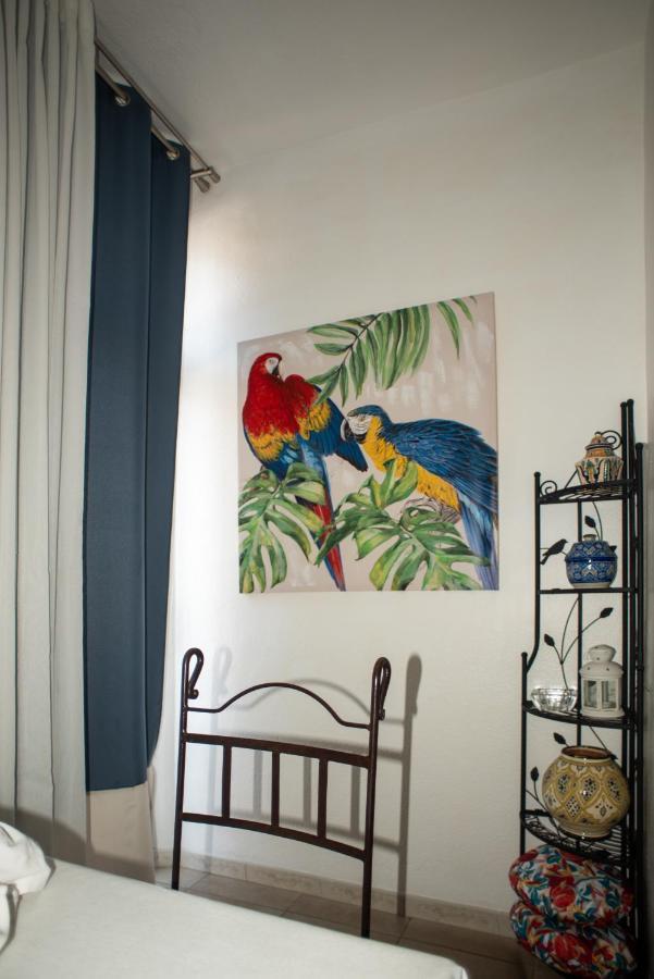 Studio Central Canet-en-Roussillon Esterno foto